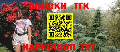 гидра Ногинск