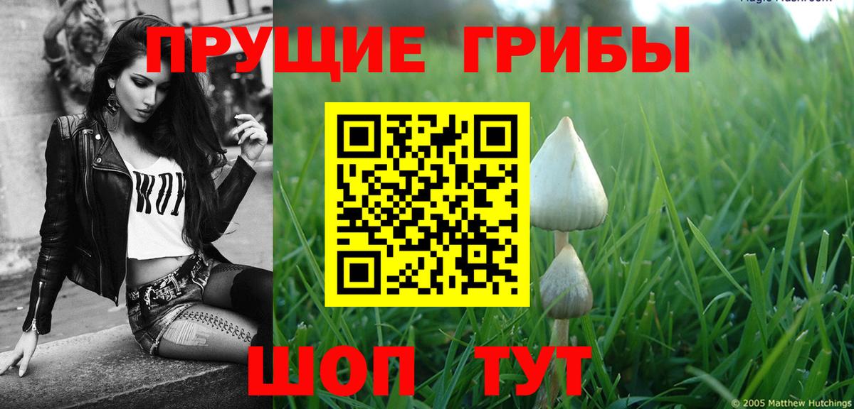 Галлюциногенные грибы Magic Shrooms Большой Камень